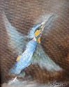 20261016 Eisvogel=20x24.jpg